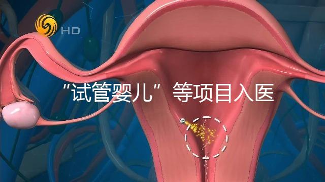 “試管嬰兒”等項目入醫(yī)保能如期落地嗎？廣西回應(yīng)