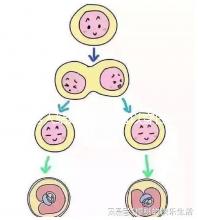 男人結(jié)婚時(shí)是否可以穿白色鞋子和白色西裝進(jìn)行分析，看看對(duì)誰不利