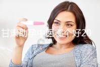甘肅助孕中醫哪個好2024，成功率高又便宜？