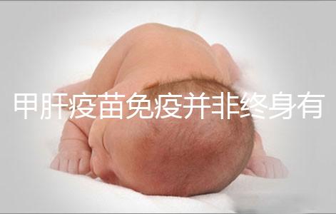 甲肝疫苗免疫并非終身有效，滅活類型抗體持續(xù)時(shí)間更久