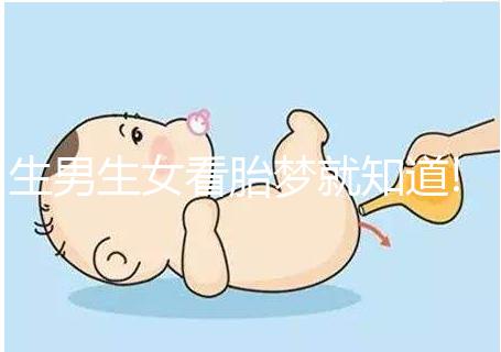 生男生女看胎夢(mèng)就知道!孕婦夢(mèng)見(jiàn)花寓意解讀