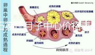 石家莊月子中心價格表整理，長安最貴最好的一家原來是它