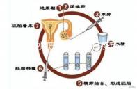 盤點水痘潛伏期能打疫苗嗎，盲目接種水痘疫苗作用不大