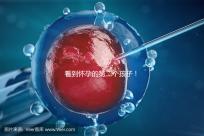看到懷孕的第二個孩子！2024年廣州試管嬰兒費(fèi)用清單