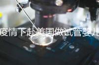 疫情下赴美國做試管嬰兒不安全，可提前做好準備工作