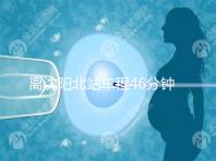 離沈陽北站車程46分鐘！沈陽菁華醫院地址及路線一覽