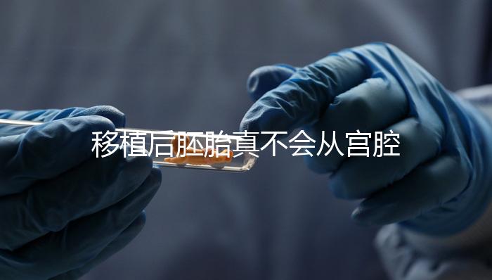 移植后胚胎真不會(huì)從宮腔掉出來！原因有這些...