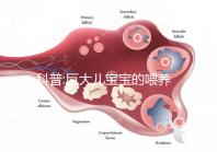 科普:巨大兒寶寶的喂養需掌握4種正確方法