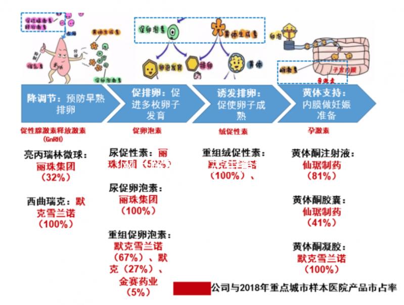 網上解密內蒙古生育登記要不要辦理，想造包頭怎么辦？