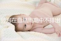 卵泡在自然周期中不排出可以移植快速get嗎？取卵好看嗎？