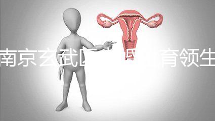 南京玄武區(qū)未婚生育領(lǐng)生育金看條件，社會(huì)撫養(yǎng)費(fèi)交不了多少