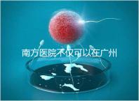 南方醫院不僅可以在廣州做b超，2024年黃浦區收費最高...