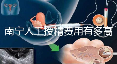 南寧人工授精費用有多高?各家醫(yī)院收費標準表給你答案