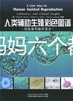 十個準(zhǔn)媽媽六個都貧血，別讓貧血傷害你的“好孕”！