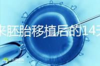 原來胚胎移植后的14天，這些信號預(yù)示著床成功