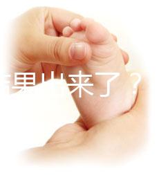 養(yǎng)囊結(jié)果出來了？3ab囊胚成功率、質(zhì)量好不好看這里