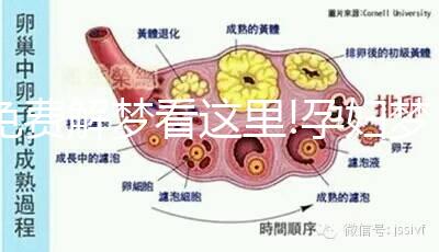 免費(fèi)解夢(mèng)看這里!孕婦夢(mèng)見大棗不止預(yù)示生兒子