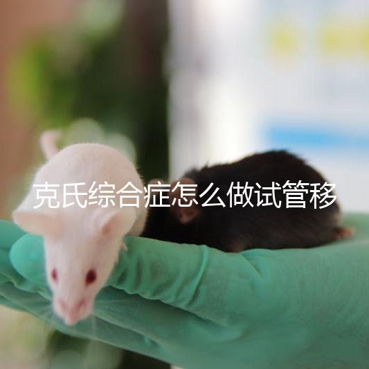 克氏綜合癥怎么做試管移植看這，促排取卵一個(gè)流程不能少