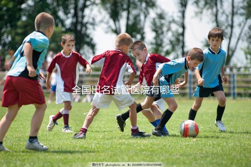 全國出名試管醫(yī)院有哪些？2025年全球領(lǐng)先機(jī)構(gòu)榜單！