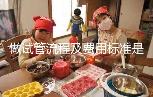 做試管流程及費用標(biāo)準(zhǔn)是多少