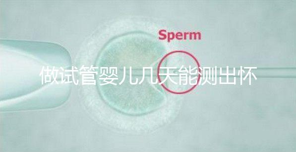 做試管嬰兒幾天能測出懷孕，3招教你提高試管成功率