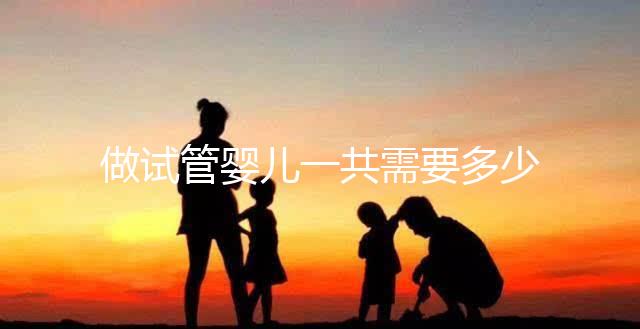 做試管嬰兒一共需要多少錢？