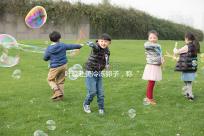 葉璇赴美冷凍卵子，稱“凍卵”是大齡未婚女性“后悔藥”！