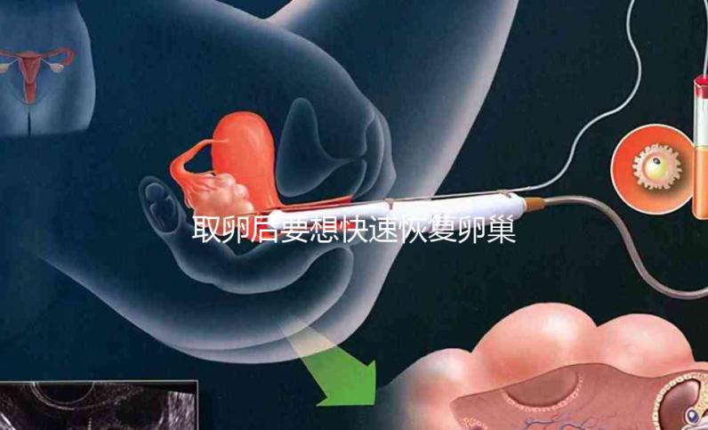 取卵后要想快速恢復(fù)卵巢，這8個方法絕對有效！