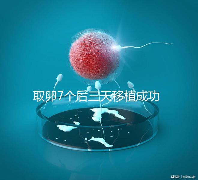 取卵7個后三天移植成功率真不低，關鍵要滿足這5大條件