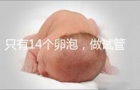 只有14個卵泡，做試管嬰兒到底要不要養(yǎng)囊？