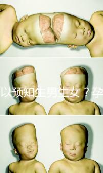 可以預(yù)知生男生女?孕婦夢見馬的胎夢解讀