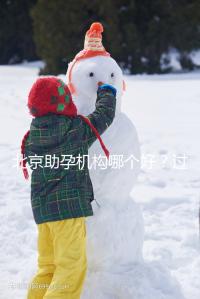 北京助孕機構哪個好？過來人其強力推薦北京這五家助孕公司