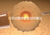 北京試管哪家醫(yī)院好看這，303醫(yī)院、北醫(yī)三院值得推薦