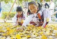 北京試管嬰兒醫院，附成功率、費用