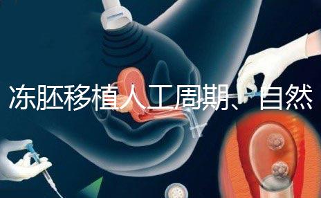 凍胚移植人工周期、自然周期怎么選？哪個成功率高？