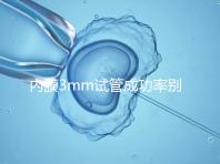 內膜3mm試管成功率別沒數，多久移植、出血與否是關鍵
