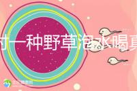 農村一種野草泡水喝真能治便秘！配合這九種中草藥效果更好