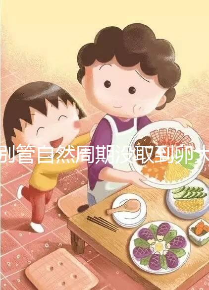 別管自然周期沒取到卵大夫當時會不會說了，沒通知這么辦