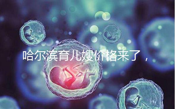 哈爾濱育兒嫂價(jià)格來(lái)了，公司排行榜top1多少錢看完了解