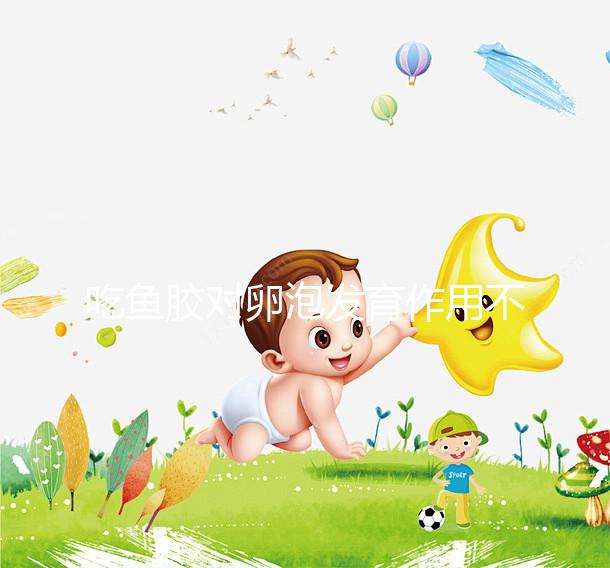 吃魚(yú)膠對(duì)卵泡發(fā)育作用不少,常食用還真能讓卵巢變好