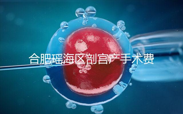 合肥瑤海區(qū)剖宮產(chǎn)手術(shù)費不便宜!生育保險報銷多少2024有變