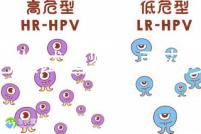 合肥做試管嬰兒要花多少錢？進周期前這些注意事項都來看看