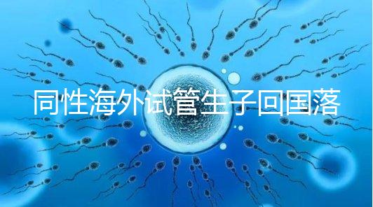 同性海外試管生子回國落戶講方法，男同上戶過程更復雜