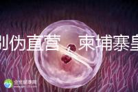 告別偽直營，柬埔寨皇家生殖遺傳醫院RFG中國辦事處指南