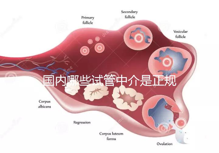 國內(nèi)哪些試管中介是正規(guī)的看過來，可不止北京百匯這一家