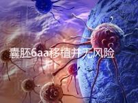 囊胚6aa移植并無風(fēng)險(xiǎn),術(shù)長(zhǎng)僅15分鐘,別讓心情影響成功率