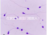 在家能帶娃出門能救人！張?jiān)迄i醫(yī)生為救人將孩子塞路人