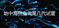 地中海貧血做第幾代試管嬰兒？要看看地貧的表現型