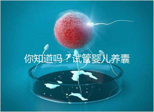 你知道嗎？試管嬰兒養(yǎng)囊的過程比“高考”更殘酷