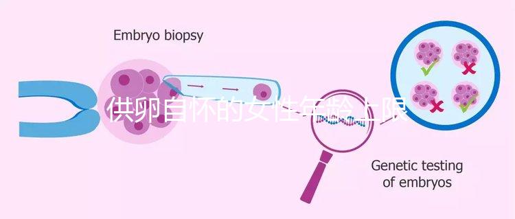 供卵自懷的女性年齡上限多大速覽，高齡警惕這些影響